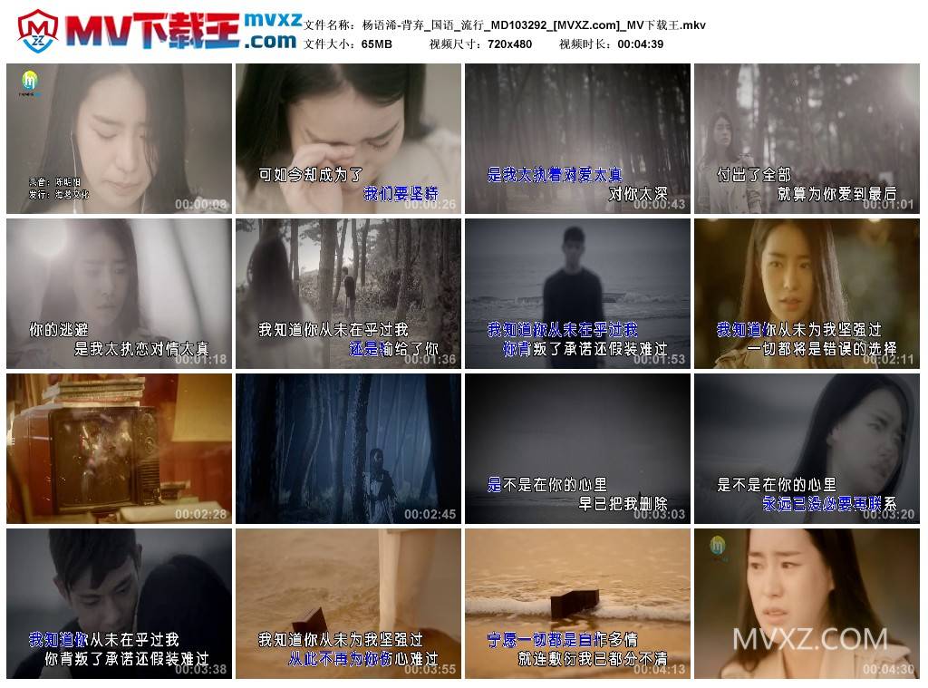 杨语浠-背弃_国语_流行_MD103292